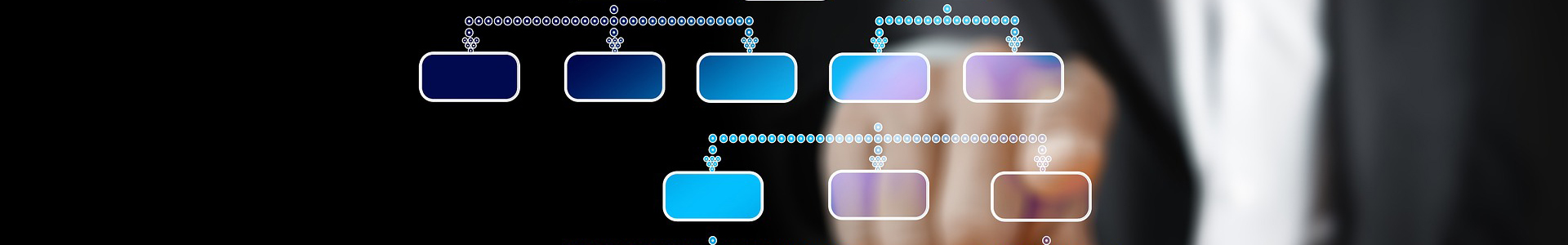 Growth of the company